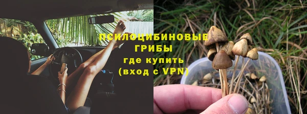 крисы Верхнеуральск