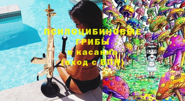 крисы Вяземский